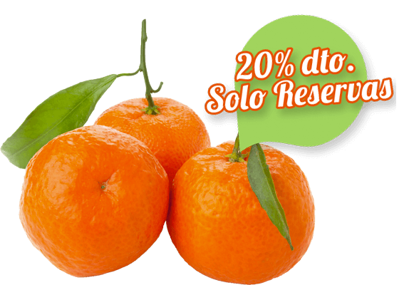 Comprar Clementina Clemenvilla Comprar Clementina Clemenvilla