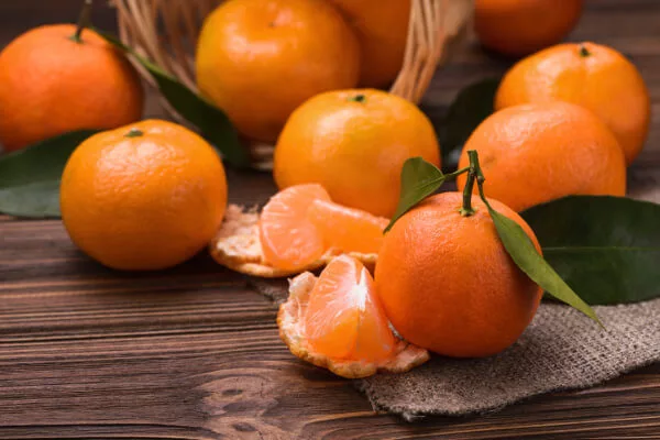 mandarina clementina mandarina clementina