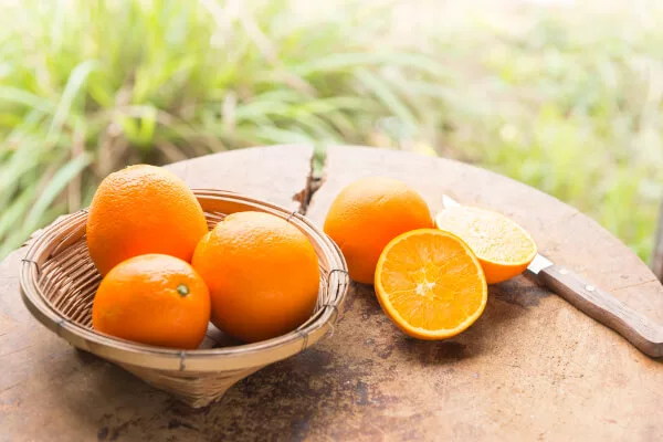 La naranja Navelate, la mejor del mundo