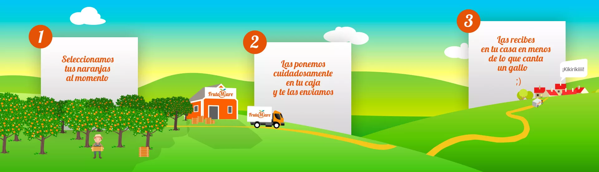 naranjas del árbol a tu casa
