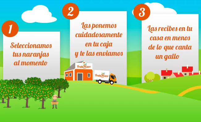 naranjas del árbol a tu casa