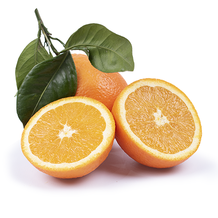 naranjas valencianas