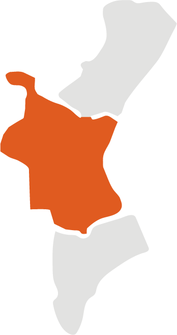 naranjas valencianas