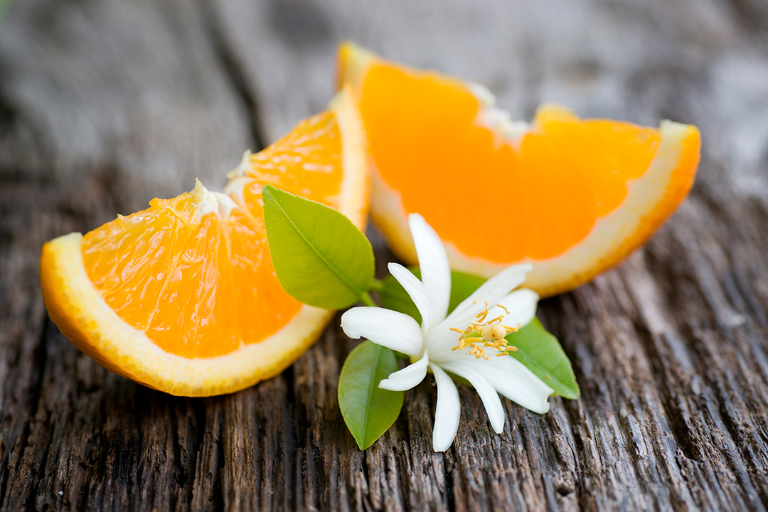 Descubre La Flor De Azahar Y Sus Propiedades | FrutaMare