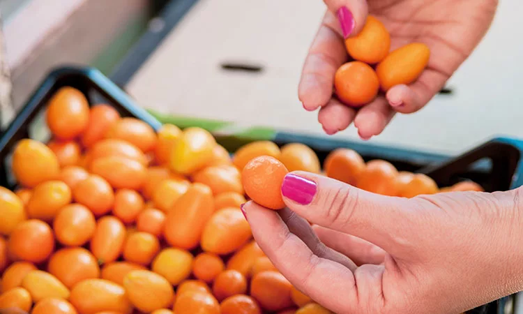 Kumquat, la naranja enana