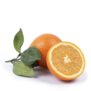 naranjas de zumo naranjas de zumo