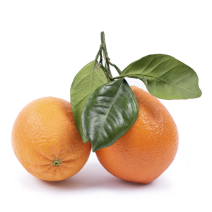 naranjas sin seleccionar naranjas sin seleccionar