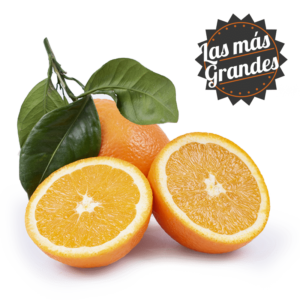 naranjas mesa calibre superior naranjas mesa calibre superior