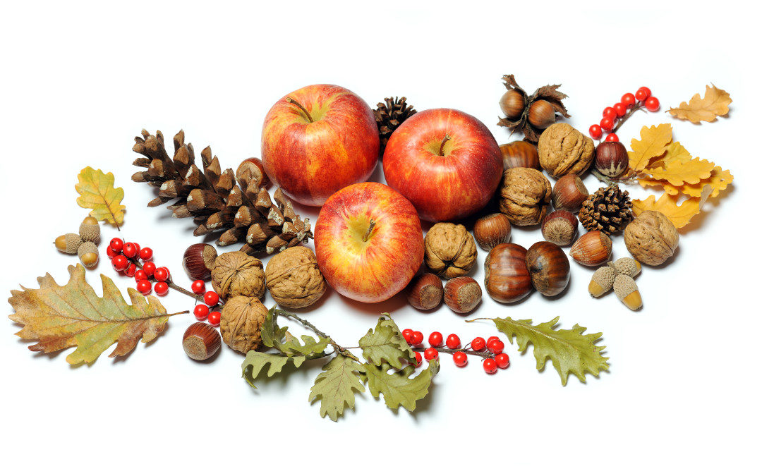 Frutas de Otoño: Vitaminas y Sabor Especiales