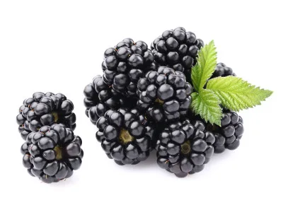 moras