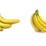 diferencia entre plátano y banana