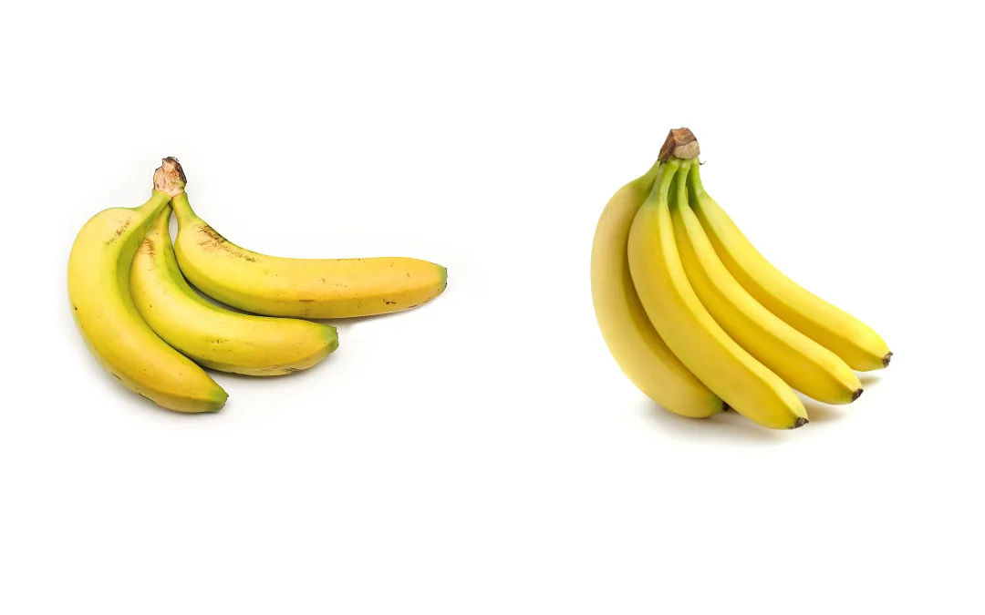 diferencia entre plátano y banana