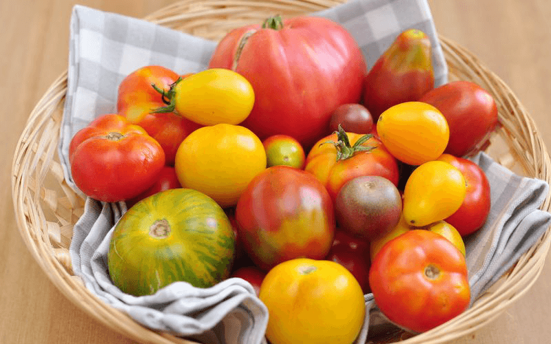 Todas las Variedades de Tomate que Existen