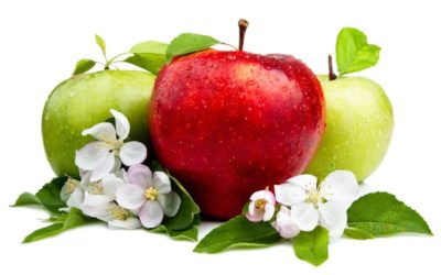Flor de manzano: Todo lo que debes saber sobre el árbol que da fruto a la manzana