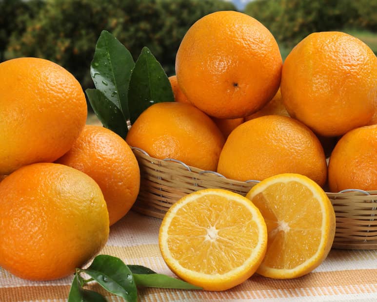 naranjas y limones