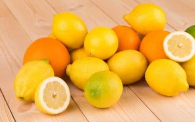 Naranjas y Limones al mejor precio