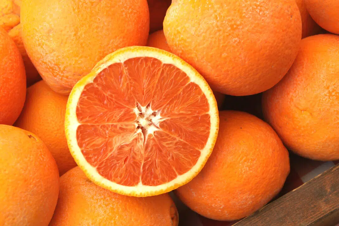 Naranja Navel