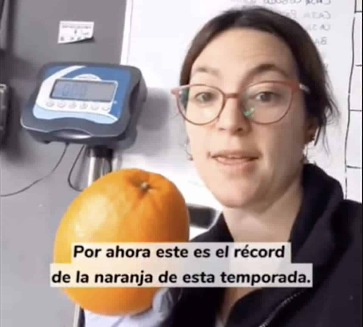 ¿Cuánto Pesa Esta Naranja? Frutamare