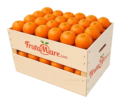 diferencia entre mandarina y clementina