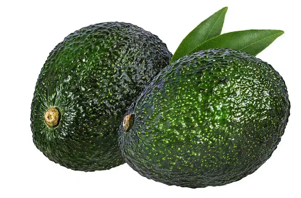 Aguacate Choquete