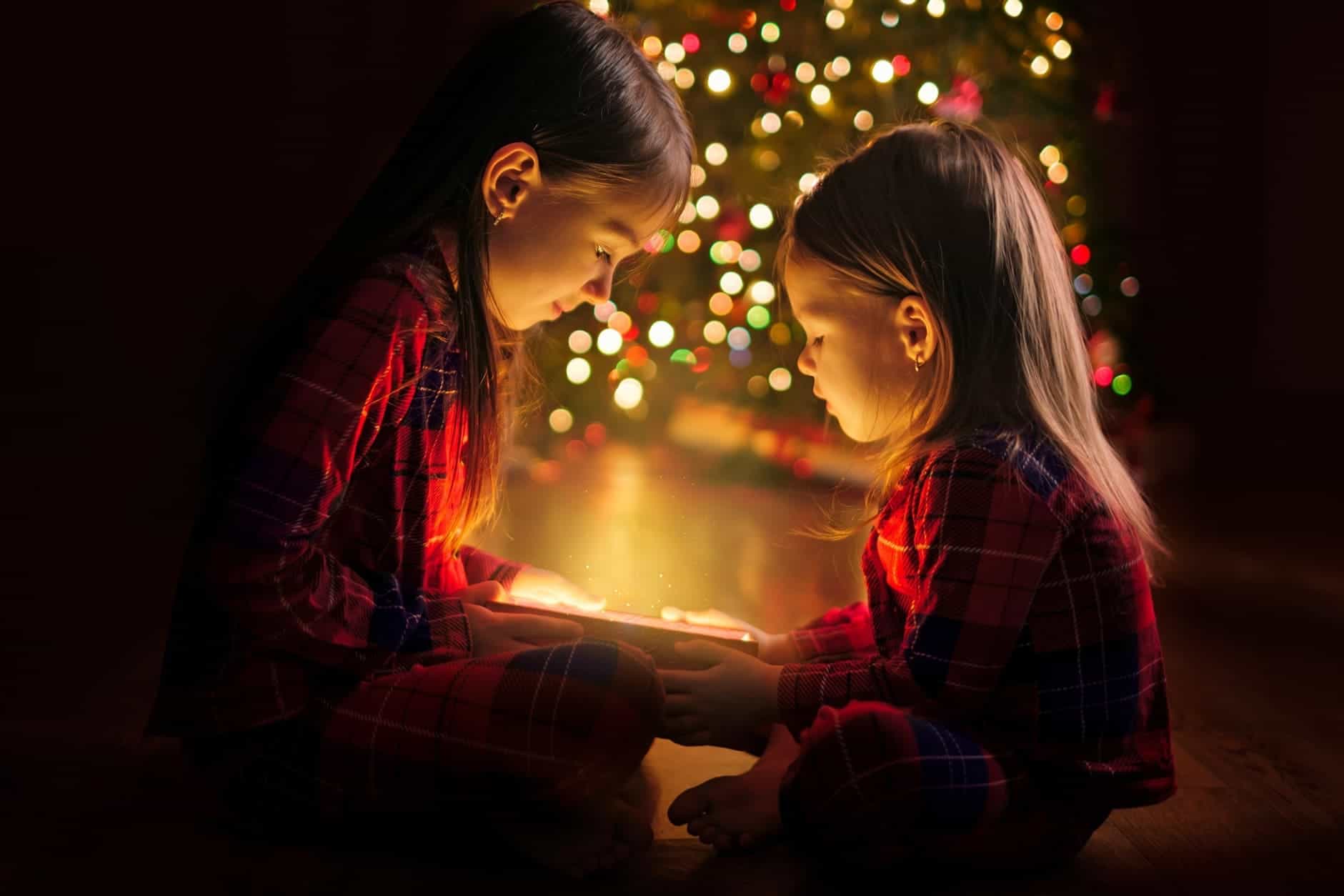 navidad Frutamare