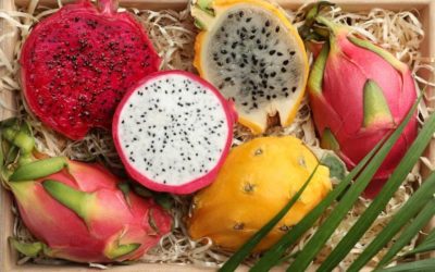 ¿Para qué es buena la Pitahaya?