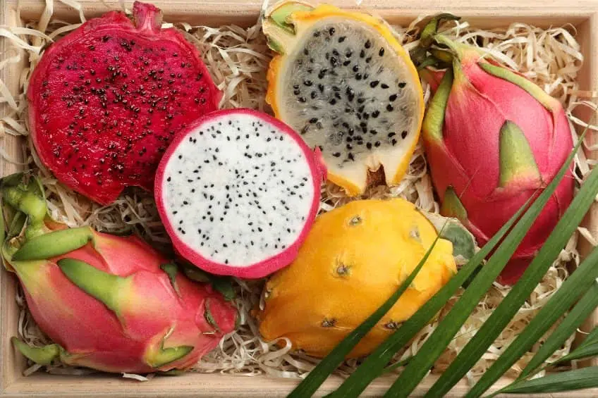 ¿Para qué es buena la Pitahaya?