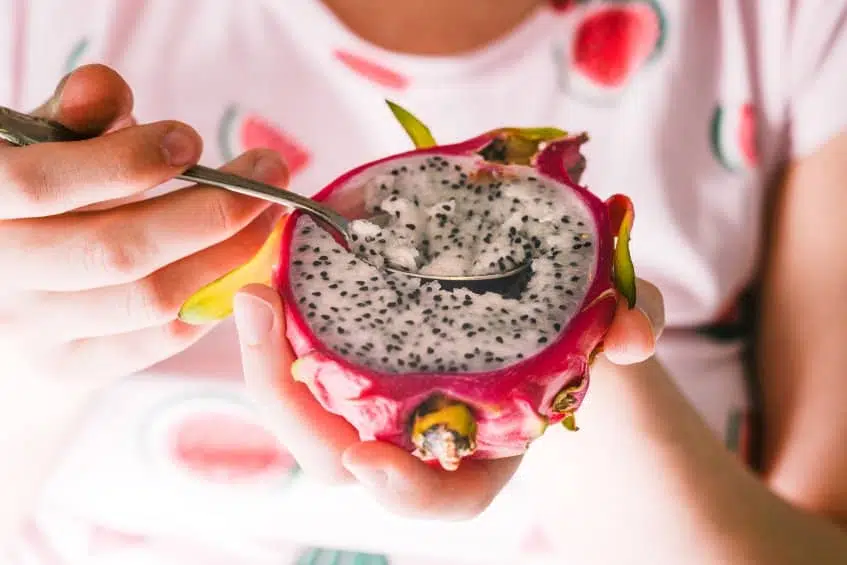 3 Importantes Propiedades de la Pitahaya